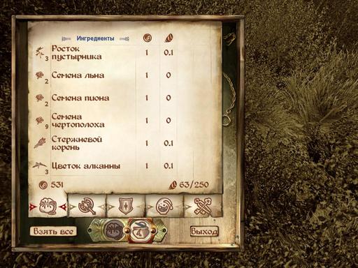 Elder Scrolls IV: Oblivion, The - Дневник имперского гастарбайтера